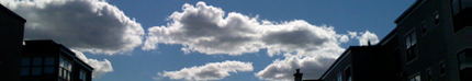 shapeimage_1.png